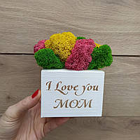 Кашпо з мохом - яскравий подарунок мамі на день матері, подарунок мамі на день народження