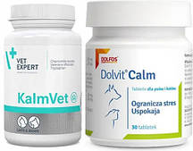 Вітаміни під час стресу у собак