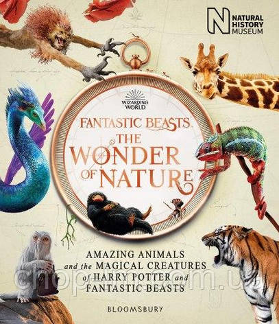 Fantastic Beasts: The Wonder of Nature, фото 1