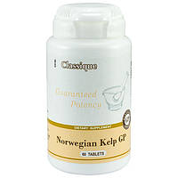 Norwegian Kelp GP Сантегра - Santegra Норвежский Келп