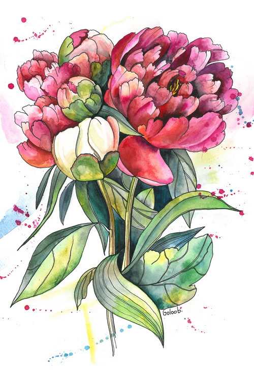 Листівка "Півонії", фото 1