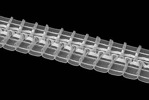 Тасьма прозора 2705 МС 6 см 1/2