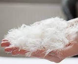 Подушка пухова. Пух 50% перо 50%, натуральний гусячий пух і перо., фото 3