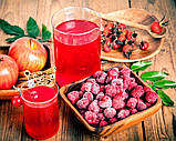 Пюре ягідне для чаю, коктейлів "Шипшина-малина" Gelato Group, 2 кг (премікс, основа), фото 2