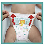 Підгузки-трусики Pampers pants 3 на 56 шт, фото 5