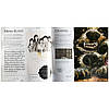Harry Potter: A Journey Through A History of Magic, фото 7