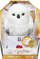 Сова Букля Гедвіга із Harry Potter 30 см Інтерактивна іграшка Spin Master Wizarding World