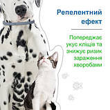 Нашийник протипаразитарний для котів та собак Bayer «Foresto» (Форесто) 38 см (від зовнішніх паразитів), фото 8