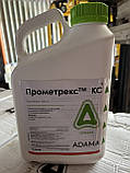 Гербіцид Прометрекс  5 л Adama (прометрин 500 г/л), фото 2