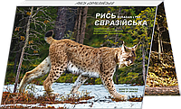 Монета "Чорнобиль. Відродження. Рись євразійська" (в сувенирной упаковке) 5 гривен НБУ 2023 рік