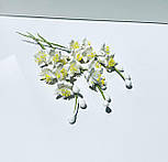 Гілка проліска L-180, фото 7