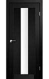 Двері міжкімнатні Модель  PR-10  плівка  Полотно 600х700х800х900х2000 мм, фото 2