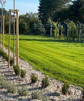 Сітка проти кротів 30 г/м2 2×100 м, фото 5