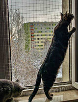 Сітка проти птахів 32.5 г/м² 2×50 м, фото 4