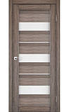 Двері міжкімнатні Модель PR-12 плівка Полотно 600х700х800х900х2000 мм, фото 3