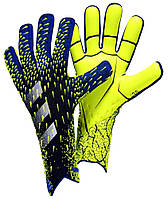 Вратарские перчатки Adidas Predator зелено-синие