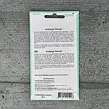 Коріандр Нектар 3 г насіння пакетоване Агропак, фото 2