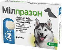 Мілпразон Таблетки від глистів для собак вагою більше 5 кг (2 таблетки)