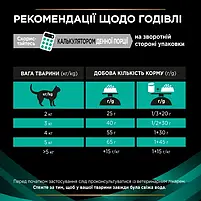 Лікувальний сухий корм для котів при захворюванні ЖКТ Purina Pro Plan Veterinary Diets EN ST/OX 1.5 кг, фото 6