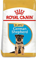 Сухий корм для цуценят породи Німецька вівчарка Royal Canin German Shepherd Puppy до 15 міс 3 кг