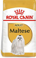 Сухий корм для собак породи Мальтійська болонка Royal Canin Maltese Adult від 10 міс 0.5 кг