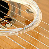 Струни D'addario EJ27N для класичної гітари (нейлон) NORMAL TENSION, фото 2