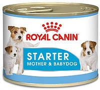 Вологий корм для новонароджених собак Royal Canin Starter Mouse 0.195 кг