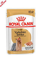 Вологий корм для собак породи йоркширський тер єр Royal Canin Yorkshire Terrier від 10 міс 0.085 кг