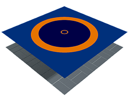 Татами для єдиноборств (борцовський килим)