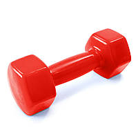 Гантель для фитнеса виниловая цельная (неразборная) OSPORT Profi 4 кг (OF-0133) Красный