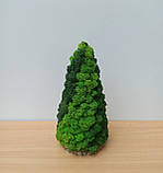 Ялинка з натурального стабілізованого моху – новорічний декор ручної роботи, фото 2