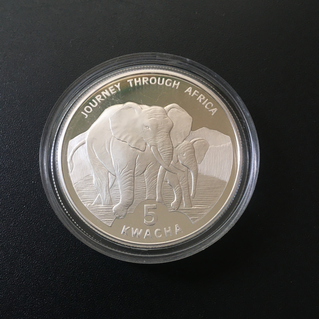 91 5 квач 2006 Африканські слони Journey Throuth Africa African Elephant