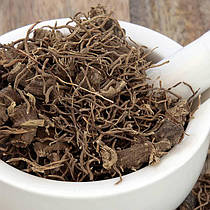 Black Cohosh Root: фітоестроген чорний кохош – для підтримки жіночого організму