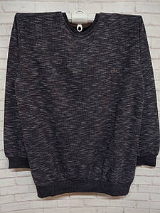 Батник чоловічий збільшений