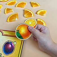 Сортер, вкладиш Фрукти у розрізі, Ань-янь, 32 х 22,5 см. (ПСД136), фото 2