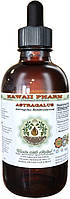 Hawaii Pharm Astragalus Alcohol-FREE / Астрагал экстракт без спирта 120 мл