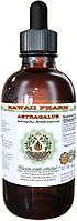 Hawaii Pharm Astragalus Alcohol-FREE / Астрагал екстракт без спирту 120 мл