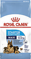 Сухой полнорационный корм Royal Canin Maxi Starter для щенков и собак крупных пород в период беременности 4 кг