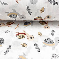 ΠΠΎΠ»ΡΡΡΠΊΠ° Π±ΡΠ·Ρ "Π§Π΅ΡΠ΅ΠΏΠ°ΡΠΊΠΈ ΡΡΡΡ, ΠΊΠΎΡΠΈΡΠ½Π΅Π²Ρ", ΡΠΎΡΠΎ 3