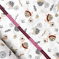 ΠΠΎΠ»ΡΡΡΠΊΠ° Π±ΡΠ·Ρ "Π§Π΅ΡΠ΅ΠΏΠ°ΡΠΊΠΈ ΡΡΡΡ, ΠΊΠΎΡΠΈΡΠ½Π΅Π²Ρ", ΡΠΎΡΠΎ 2