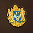 Подарунковий набір для алкоголю "Тризуб", фото 7