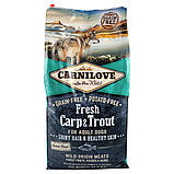 Сухий корм для собак з коропом і фореллю Carnilove Fresh Carp and Trout for Adult dogs 12кг, фото 2