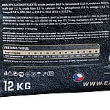 Сухий корм для собак з коропом і фореллю Carnilove Fresh Carp and Trout for Adult dogs 12кг, фото 4