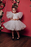 Дитяча сукня 👑STAR-shr👑 - пишне плаття, фото 3