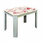 Стіл обідній Модерн, фото 4