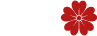 NOVA KVITKA