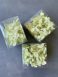 Гортензія стабілізована салатова (2,5 гр), фото 3