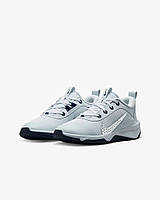 Кроссовки женские Nike Omni Court Pure Platinum (DM9027-004)