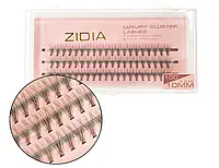 Ресницы пучки ZIDIA CLUSTER LASHES 10D C 0,10 10мм