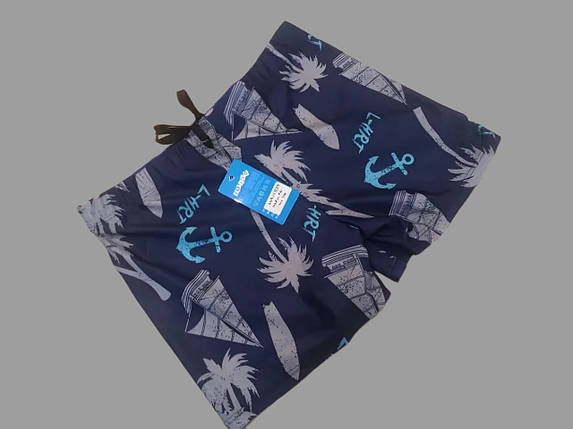 Шорты-плавки Z.Five 201 голубой(В НАЛИЧИИ ТОЛЬКО 56 УКР р-ры), фото 1